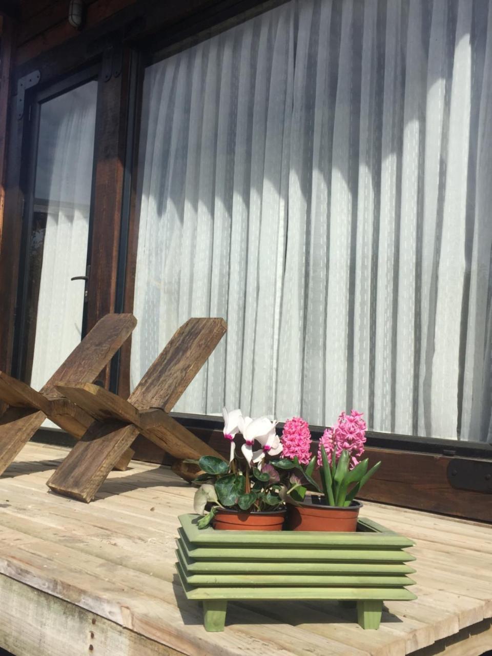 Palo Santo Bed and Breakfast Pichilemu Exterior foto